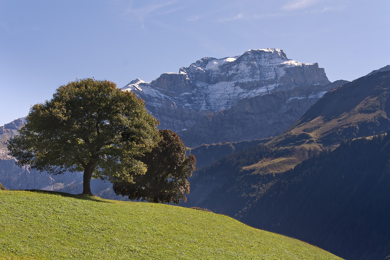 Hidden Trails in the Swiss Alps’ Engadin Valley